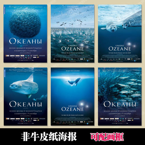 哪里能办南非身份证